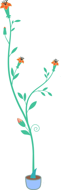 Pot plant