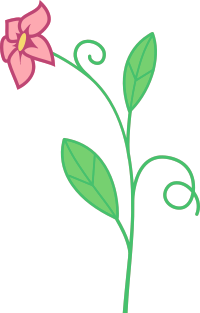 Flower 189