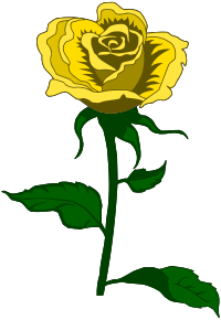 Rose 27 (colour 2)
