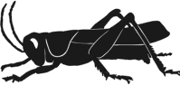 Grashopper silhouette