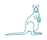 kangaroo