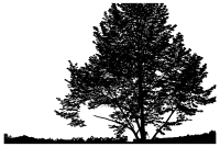 Landscape Nature Silhouette