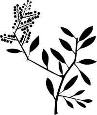 Flower 191