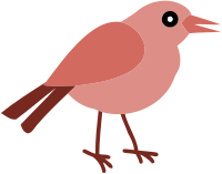 Bird 13