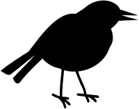 Bird silhouette 5