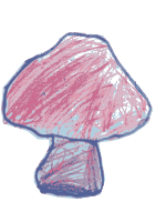 Hongo