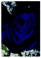 Rosa azul