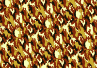 Background pattern 321 (colour 2)