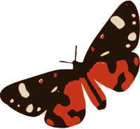 Red Butterfly