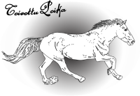 The Awaited Son Running (Toivottu Poika)