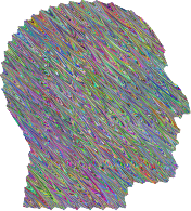 Body Dysmorphic Disorder