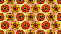 Floral background 20