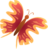 Colourful butterfly 3