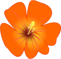 Flower 192