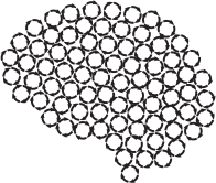 Ruminating Brain