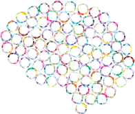 Ruminating Brain Prismatic
