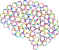 Ruminating Brain Prismatic 2