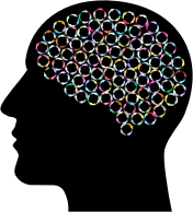 Ruminating Brain In Head