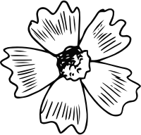Flower 196