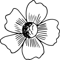 Flower 198