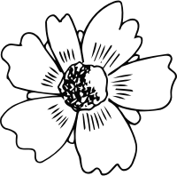 Flower 199