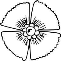 Flower 200