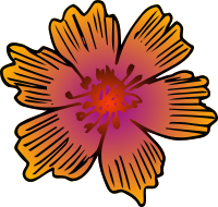 Flower 195 (colour)