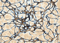 Network background