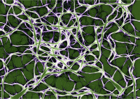 Network background (colour 4)