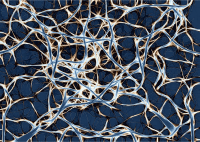 Network background (colour 5)