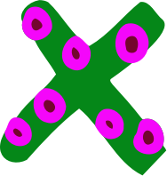 Colourful alphabet - X