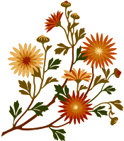 Flowers 20