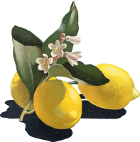 Fresh Lemons