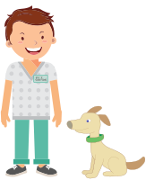 Happy Veterinarian