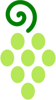 Bunch of grapes 2