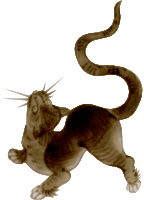 Vintage cat