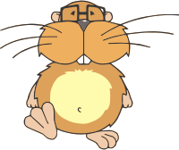 Beaver