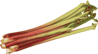 Rhubarb