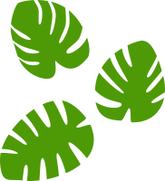 Monstera leaves