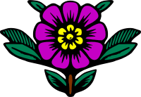 Flower 212 (colour)