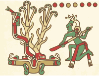 Aztec Codex