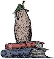 Wise Owl - Colour