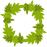 Leafy frame 31
