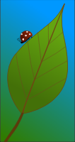 Bug on a Leaf