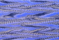 Background pattern 335 (colour 2)