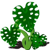 Philodendron