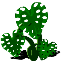 Philodendron