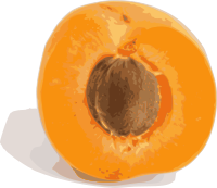 Abricot (coupe)