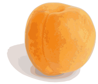 Abricot (entier)