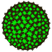 tree-39B